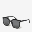 Солнцезащитные очки женские InBag Sunglasses LS7765 Black с чехлом 2