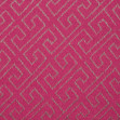 Шарф жіночий Regina Notte sc1810 Fuschia 2