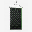Шарф жіночий Regina Notte sc22100 Green 1