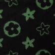 Шарф жіночий Regina Notte sc22100 Green 2