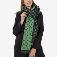 Шарф жіночий Regina Notte sc22100 Green 3