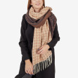 Шарф жіночий Regina Notte sc22110 Brown 3