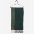 Шарф женский Regina Notte sc22110 Emerald 1