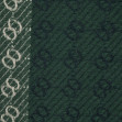 Шарф женский Regina Notte sc22110 Emerald 2