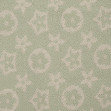 Шарф женский Regina Notte sc2259 Green tea 2