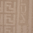 Шарф женский Regina Notte sc3069 Taupe 2