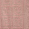 Шарф жіночий Regina Notte sc3069 Pink 2