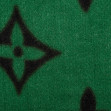 Шарф женский Regina Notte sc3193 Green 3