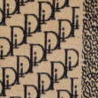 Шарф жіночий Regina Notte sc843 Black and Beige 2