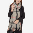 Шарф жіночий Regina Notte sc942 Light-grey 3