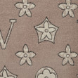 Шарф женский Regina Notte F003 Taupe 2
