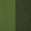 Шарф женский Regina Notte sc22106 Green 2