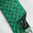 Шарф женский Regina Notte SJ2810 Green 1