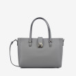 Тоут великий Regina Notte Grey 1