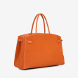 Тоут великий Regina Notte Orange 2
